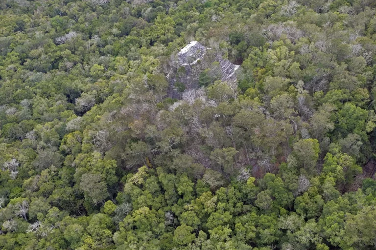 El Mirador