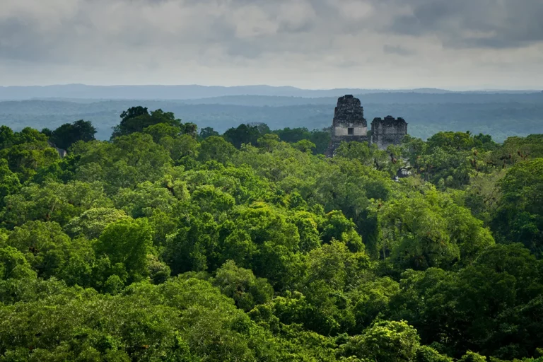 Parque Nacional Tikal